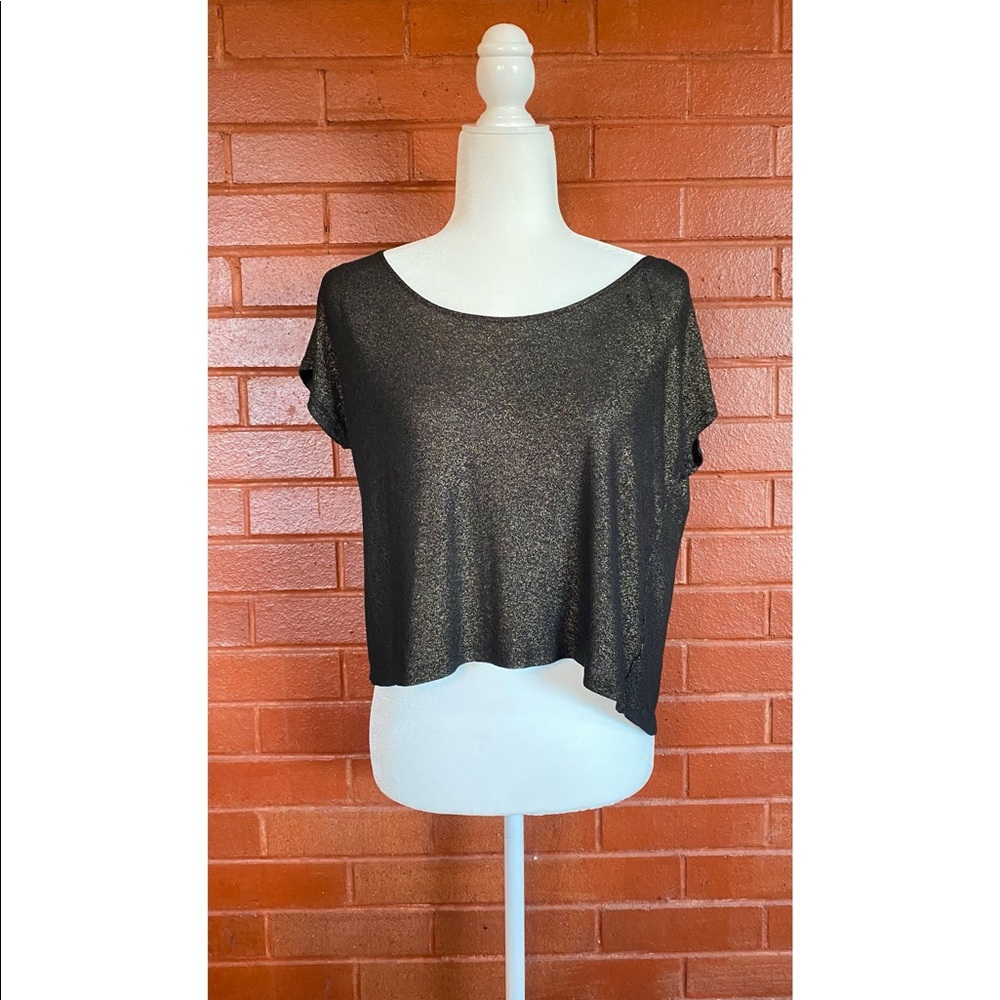 Jennifer Lopez Sheer Sparkle Crop Top